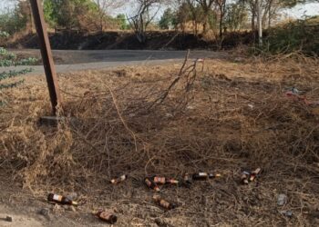 दारुड्यांचं संताप जनक कृत्य