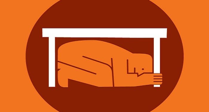 Earthquake Tips: भूकंपाच्या स्थितीत काय करावं? जाणून घ्या एका क्लिकवर