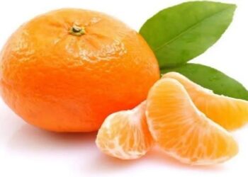 Benefits of Orange: संत्री ठरते आरोग्यासाठी संजीवनी, हिवाळ्यात रोगप्रतिकार शक्ती वाढवण्यासाठी असे करा सेवन