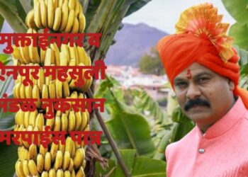 मुक्ताईनगर व ऐनपुर महसुल मंडळातील शेतकऱ्यांना दिलासा देणारी बातमी