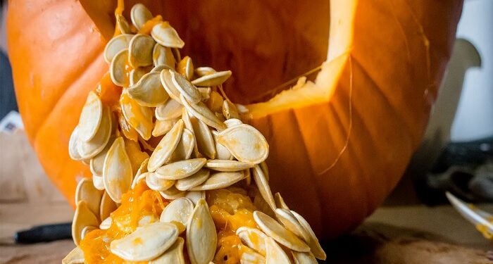 Men’s Health : मधुमेह-कॅन्सरवर प्रभावी ठरते ही एक बी, तुमच्या आहारात करा समाविष्ठ करा