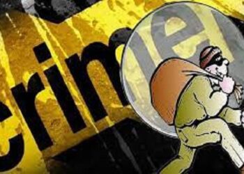 Bhusawal News : लग्न समारंभातून २ लाख ९ हजाराच्या दागिण्यांसह पर्स लांबवली