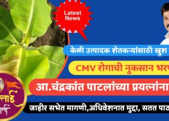 केळी उत्पादक शेतकऱ्यांसाठी खुश खबर ,लवकरच CMV रोगाची नुकसान भरपाई मिळणार ! 