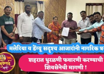 मलेरिया व डेंग्यू सदृश्य आजारांनी नागरिक त्रस्त,   शहरात धुरळणी फवारणी करण्याची शिवसेनेची मागणी 