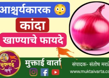 कांद्याचे 5 आश्चर्यकारक फायदे 😳