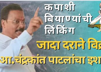 कपाशी बियाण्यांची लिंकिंग जादा दराने विक्री आ.चंद्रकांत पाटलांचा इशारा