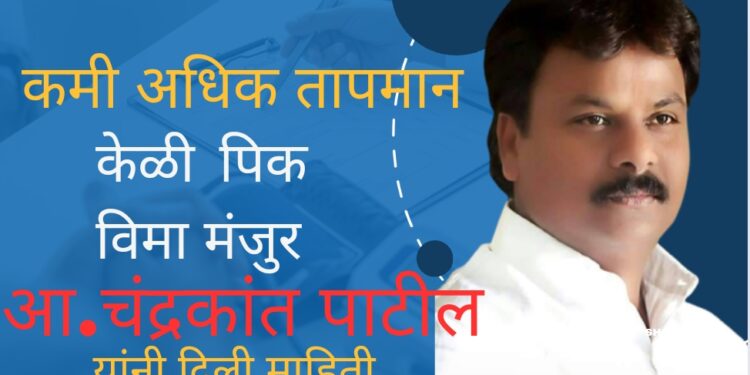 पिक विमा योजना २०२३-२४ अंतर्गत विमा उतरविलेल्या शेतकऱ्यांना कमी व अधिक तापमान नुकसानी मुळे मिळणार दुहेरी लाभ – आ.चंद्रकांत पाटील