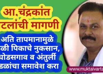 अति तापमानामुळे केळी पिकाचे नुकसान, घोडसगाव व अंतुर्ली मंडळांचा समावेश करा -आ.चंद्रकांत पाटील