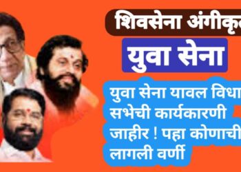 युवा सेना यावल विधान सभेची कार्यकारणी जाहीर ! पहा  कोणाची लागली वर्णी