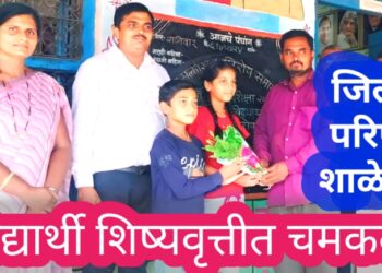 अरेच्चा…!  जिल्हा परिषद शाळेचा विद्यार्थी, चक्क जिल्हास्तरीय शिष्यवृत्ती स्पर्धेत मुक्ताईनगर तालुक्यातून प्रथम