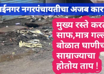 मुक्ताईनगर नगरपंचायत करतेय अजब कारभार ,   मुख्य रस्ते करतेय साफ, तर गल्ली बोळात मात्र घाणीच्या साम्राज्याचा होतोय ताप !