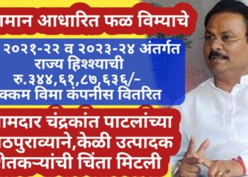 आमदार चंद्रकांत पाटलांच्या पाठपुराव्याने, केळी उत्पादक शेतकऱ्यांची चिंता मिटली!