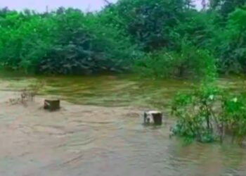 Maharashtra Rain Havoc: पावसाने थैमान घातलं, बळीराजा हवालदिल! 34 हजार हेक्टरवर पिकांचं प्रचंड नुकसान – पाहा जिल्हानिहाय सविस्तर माहिती