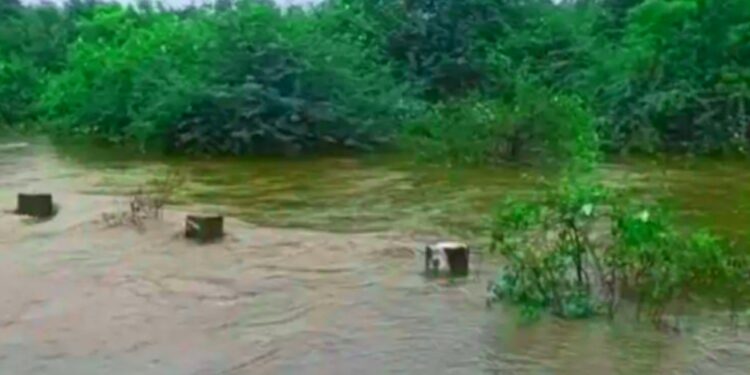 Maharashtra Rain Havoc: पावसाने थैमान घातलं, बळीराजा हवालदिल! 34 हजार हेक्टरवर पिकांचं प्रचंड नुकसान – पाहा जिल्हानिहाय सविस्तर माहिती