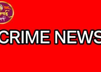 🛑 BREAKING: भरधाव ट्रकची धडक – रस्त्यावर फिरणाऱ्या गायीचा जागीच मृत्यू!