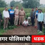 🛑 निमखेडी शिवारात ₹35 लाखांचा गांजा जप्त; मुक्ताईनगर तालुक्यात दोन दिवसांत दुसरी मोठी कारवाई, अवैध शेती विरोधात पोलिसांची मोहीम